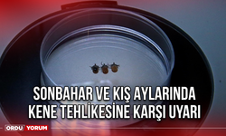 Sonbahar ve Kış Aylarında Kene Tehlikesine Karşı Uyarı