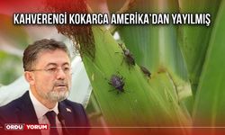 Kahverengi Kokarca Amerika’dan Yayılmış