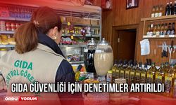 Gıda Güvenliği İçin Denetimler Artırıldı