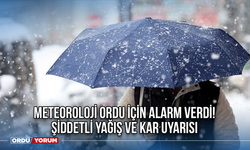 Meteoroloji Ordu İçin Alarm Verdi! Şiddetli Yağış ve Kar Uyarısı