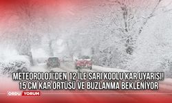 Meteoroloji'den 12 İle Sarı Kodlu Kar Uyarısı! 15 cm Kar Örtüsü ve Buzlanma Bekleniyor