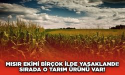 Mısır ekimi birçok ilde yasaklandı! Sırada o tarım ürünü var!