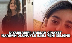 Diyarbakır'ı Sarsan Cinayet: Narin'in Ölümüyle İlgili Yeni Gelişme