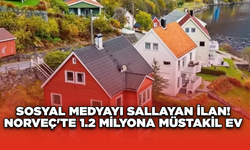 Sosyal Medyayı Sallayan İlan! Norveç'te 1.2 Milyona Müstakil Ev