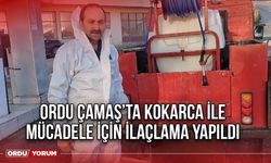 Ordu Çamaş'ta Kokarca İle Mücadele İçin İlaçlama Yapıldı