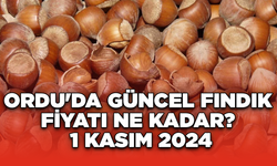 Ordu'da güncel fındık fiyatı ne kadar? 1 Kasım 2024