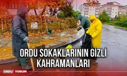 Ordu Sokaklarının Gizli Kahramanları