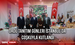 Ordu Tanıtım Günleri İstanbul'da Coşkuyla Kutlandı