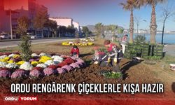 Ordu Rengârenk Çiçeklerle Kışa Hazır