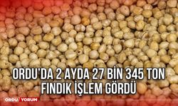 Ordu’da 2 Ayda 27 bin 345 ton Fındık İşlem Gördü