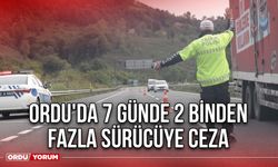 Ordu'da 7 Günde 2 Binden Fazla Sürücüye Ceza