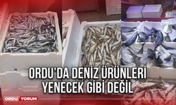 Ordu’da Deniz Ürünleri Yenecek Gibi Değil