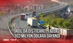 Ordu'da dış ticaret fazlası 302 milyon dolara dayandı