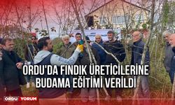 Ordu'da Fındık Üreticilerine Budama Eğitimi Verildi