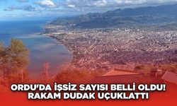 Ordu'da işsiz sayısı belli oldu! Rakam dudak uçuklattı