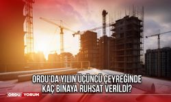 Ordu'da yılın üçüncü çeyreğinde kaç binaya ruhsat verildi?