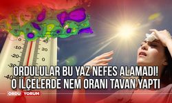 Ordulular bu yaz nefes alamadı! O ilçelerde nem oranı tavan yaptı