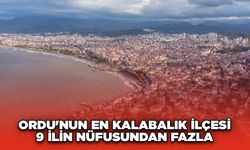 Ordu'nun en kalabalık ilçesi 9 ilin nüfusundan fazla