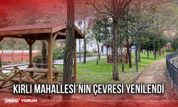 Kırlı Mahallesi’nin Çevresi Yenilendi