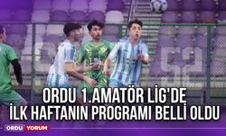 Ordu 1.Amatör Lig'de İlk Haftanın Programı Belli Oldu