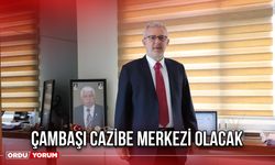 Çambaşı Cazibe Merkezi Olacak