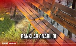 Banklar Yenilendi