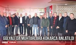 Gülyalı’da Muhtarlara Kokarca Anlatıldı