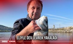 Eliyle Dev Levrek Yakaladı