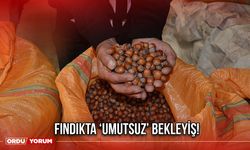 Fındıkta ‘Umutsuz’ Bekleyiş!