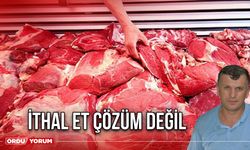 İthal Et Çözüm Değil