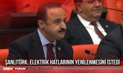 Şanlıtürk, Elektrik Hatlarının Yenilenmesini İstedi