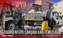 Gürgentepe Çarşıda Kar Temizliği