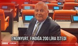 ENGİNYURT, FINDIĞA 200 LİRA İSTEDİ