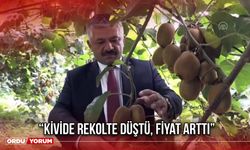 “Kivide Rekolte Düştü, Fiyat Arttı”