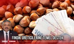 Fındık Üreticilerine Temel Destek