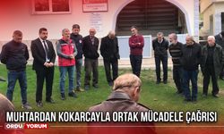 Muhtardan Kokarcayla Ortak Mücadele Çağrısı