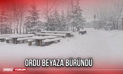 Ordu Beyaza Büründü