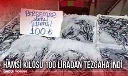 Hamsi Kilosu 100 Liradan Tezgaha İndi