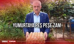 Yumurtaya Peş Peşe Zam