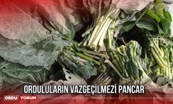 Orduluların Vazgeçilmezi Pancar