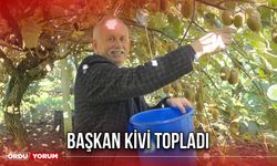 Başkan Kivi Topladı