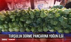 Turşuluk Dürme Pancarına Yoğun İlgi