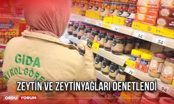 Zeytin ve Zeytinyağları Denetlendi