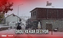 Ordu'ya Kar Geliyor