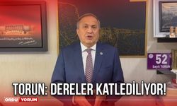 Torun: Dereler Katlediliyor!