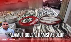 “Palamut Bolsa, Hamsi Az Olur”