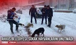 Akkuş Belediyesi, Sokak Hayvanlarını Unutmadı