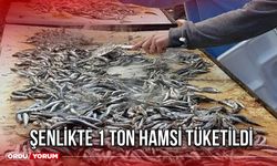 Şenlikte 1 Ton Hamsi Tüketildi