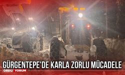 Gürgentepe'de Karla Zorlu Mücadele