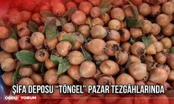 Şifa Deposu “Töngel” Pazar Tezgâhlarında